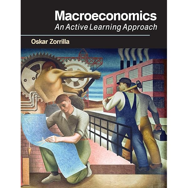 洋書 Economics of the Public Sector 公共経済学 Economics of the Public Sector: Stiglitz, Joseph E., Rosengard
